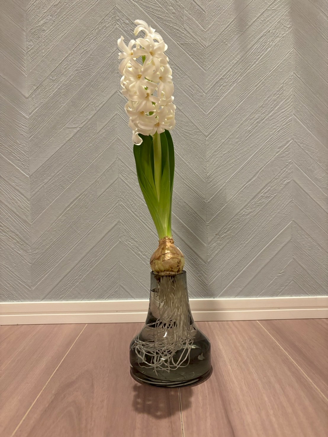 季節のお花🌸🌼🪻